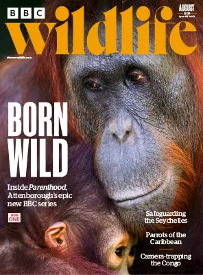 BBC Wildlife Magazine Vol.43 Issue 09 August 2025
