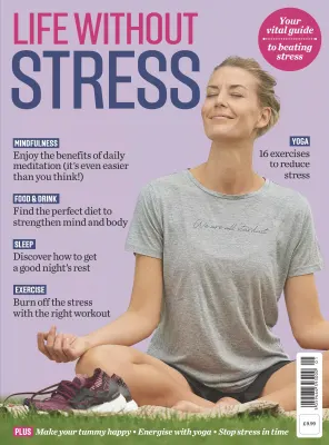 Your Guide to Success Life Without Stress 2025
