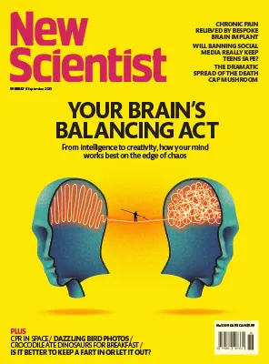 New Scientist International Edition No. 3559 6 September 2025