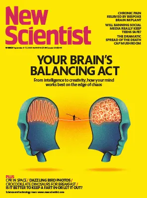 New Scientist US No. 3559 6 12 September 2025