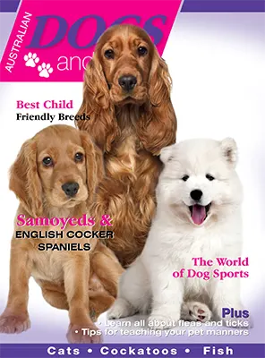 Australian Dogs Pets Issue 10 2025 6