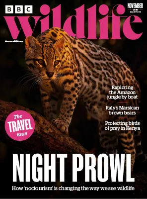 BBC Wildlife Magazine Vol.43 Issue 12 November 2025