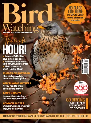Bird Watching UK November 2025