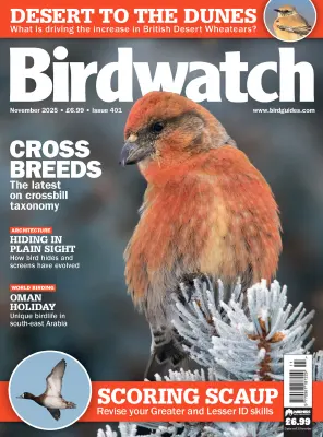 Birdwatch UK Issue 401 November 2025