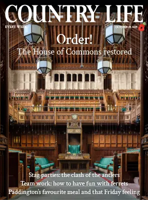 Country Life UK October 29 2025