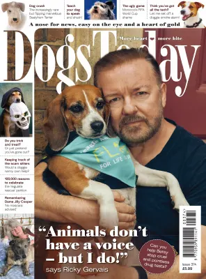 Dogs Today UK Issue 374 2025