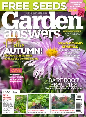 Garden Answers November 2025 1