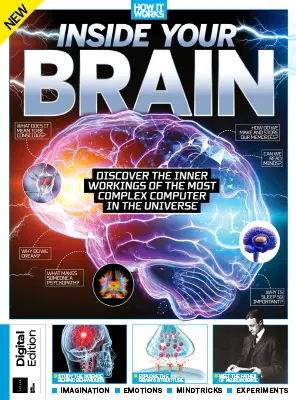 How It Works Inside Your Brain 6th Edition 2025