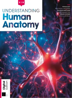 How It Works Understanding Human Anatomy 3rd Edition 2025