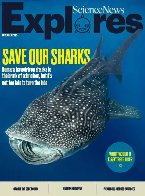 Science News Explores November 2025