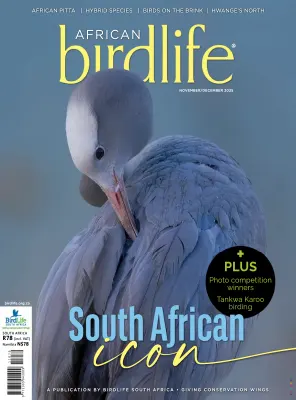 African Birdlife November December 2025