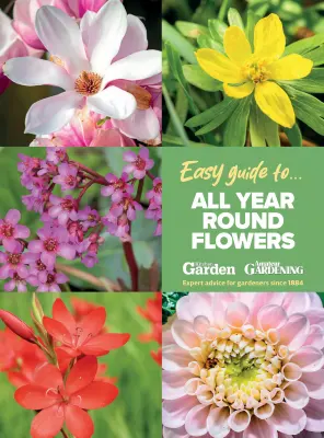 Amateur Gardening Easy Guide To All Year Round Flowers 2025