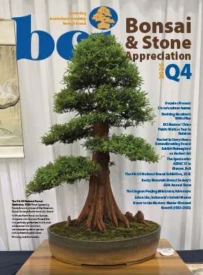 BCI Bonsai Stone Appreciation Magazine Q4 2025