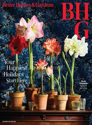 Better Homes Gardens USA December 2025