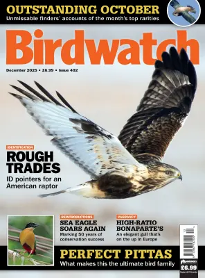 Birdwatch UK Issue 402 December 2025