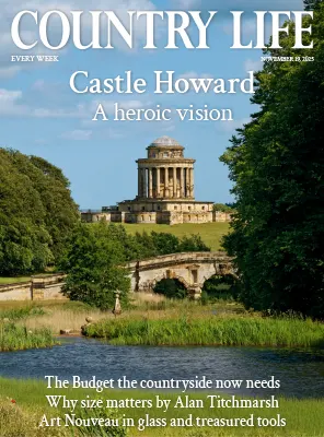 Country Life UK November 19 2025