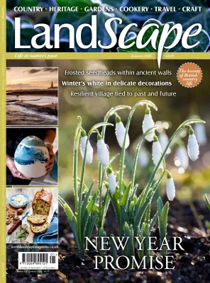 Landscape UK January 2026
