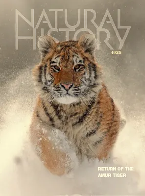 Natural History November 2025