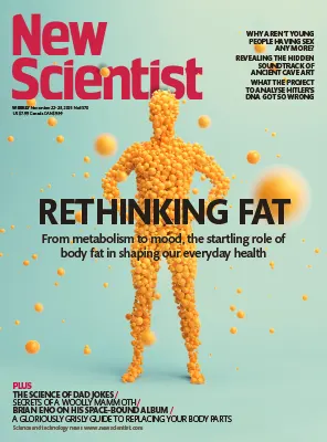 New Scientist US No. 3570 22 28 November 2025