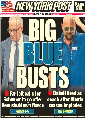 New York Post November 11 2025