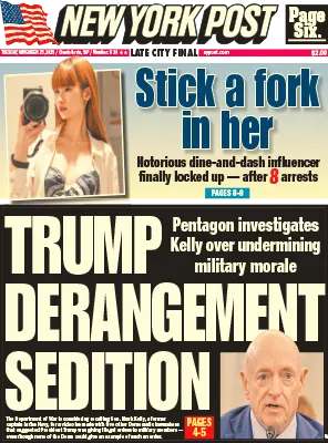 New York Post November 25 2025