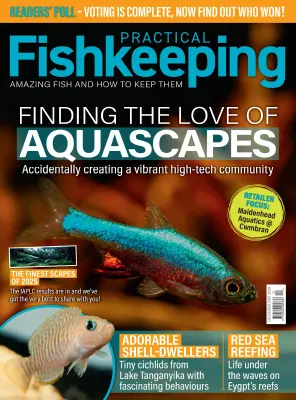 Practical Fishkeeping December 2025