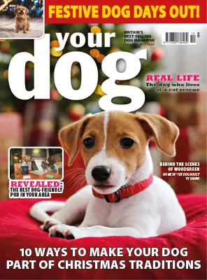 Your Dog December 2025