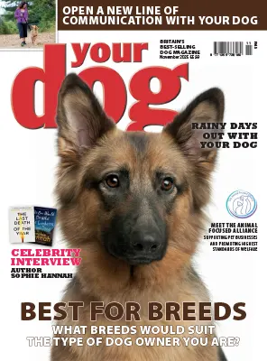 Your Dog November 2025