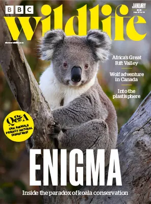 BBC Wildlife Magazine Vol.44 Issue 1301 January 2026