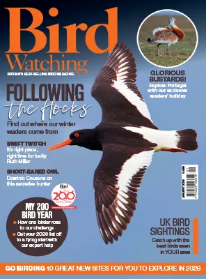 Bird Watching UK January 2026