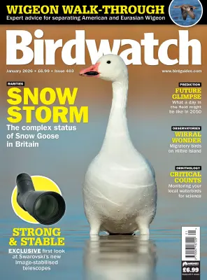 Birdwatch UK Issue 403 January 2026 1
