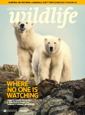 Canadian Wildlife Vol 31 No 6 January February 2026