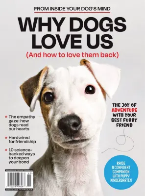 Inside Your Dogs Mind Why Dogs Love Us 2025