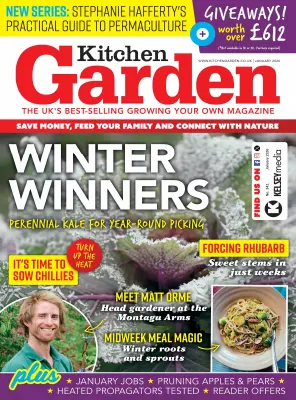 Kitchen Garden January 2026