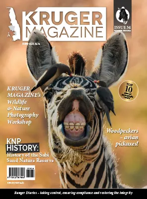 Kruger Magazine Issue 34 Summer 2025 2026