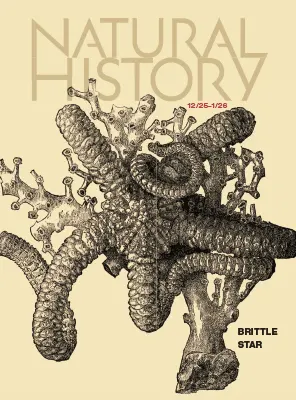 Natural History December 2025 January 2026