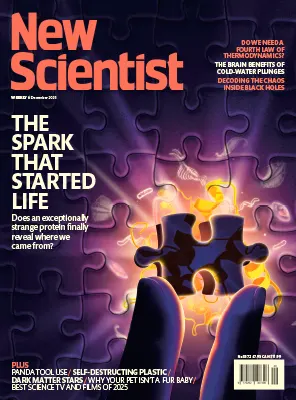 New Scientist International Edition No.3572 6 December 2025