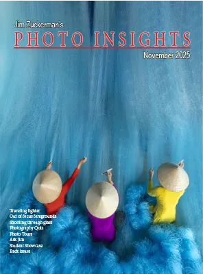 Photo Insights November 2025