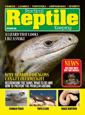 Practical Reptile Keeping December 2025