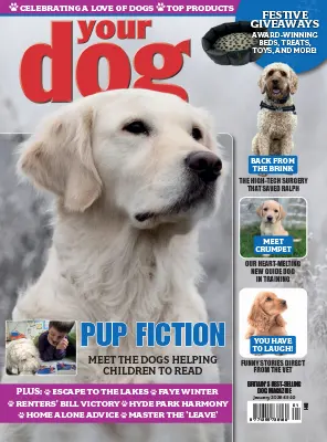 Your Dog January 2026