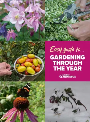 Amateur Gardening Easy Guide To Gardening Through The Year 2025