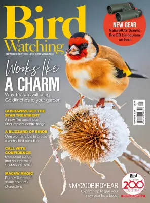 Bird Watching UK February 2026