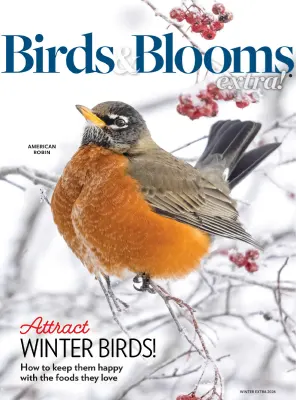 Birds and Blooms Extra Winter 2026