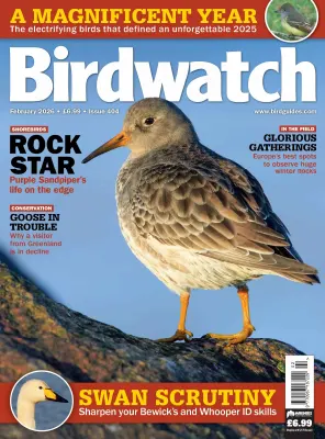 Birdwatch UK Issue 404 February 2026