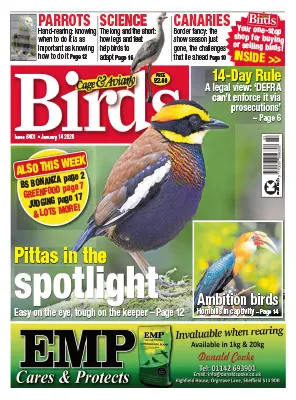 Cage Aviary Birds Issue 6401 January 14 2026