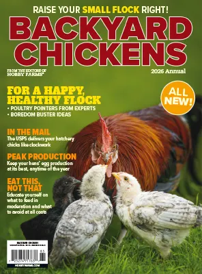 Chickens Backyard Chickens 2026