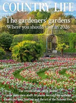 Country Life UK January 21 2026