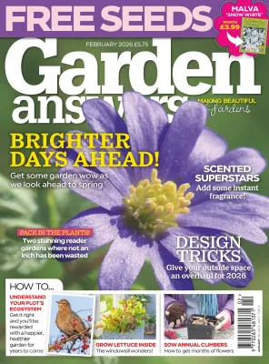 Garden Answers February 2026