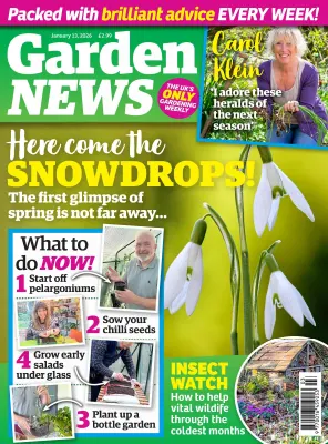 Garden News 13 January 2026