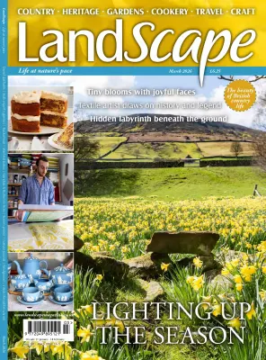 Landscape UK March 2026